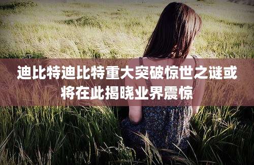 迪比特迪比特重大突破惊世之谜或将在此揭晓业界震惊
