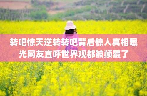 转吧惊天逆转转吧背后惊人真相曝光网友直呼世界观都被颠覆了
