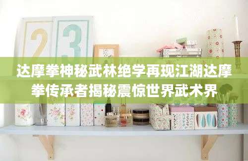 达摩拳神秘武林绝学再现江湖达摩拳传承者揭秘震惊世界武术界