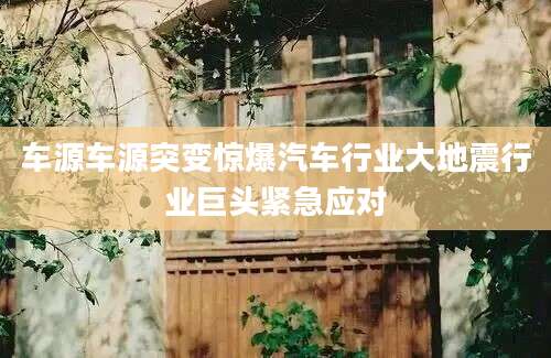 车源车源突变惊爆汽车行业大地震行业巨头紧急应对