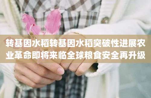 转基因水稻转基因水稻突破性进展农业革命即将来临全球粮食安全再升级