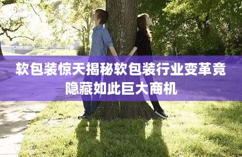 软包装惊天揭秘软包装行业变革竟隐藏如此巨大商机