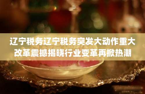 辽宁税务辽宁税务突发大动作重大改革震撼揭晓行业变革再掀热潮