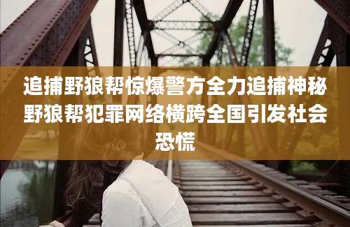 追捕野狼帮惊爆警方全力追捕神秘野狼帮犯罪网络横跨全国引发社会恐慌