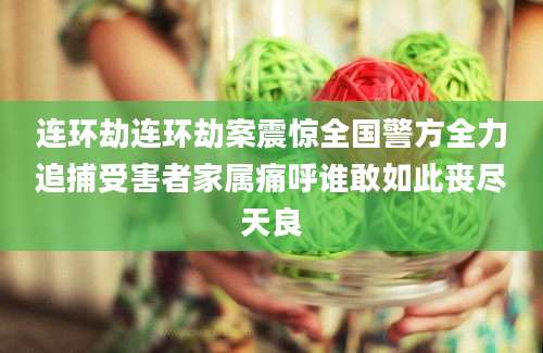 连环劫连环劫案震惊全国警方全力追捕受害者家属痛呼谁敢如此丧尽天良