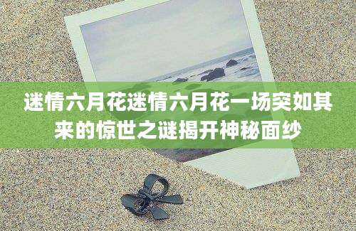 迷情六月花迷情六月花一场突如其来的惊世之谜揭开神秘面纱