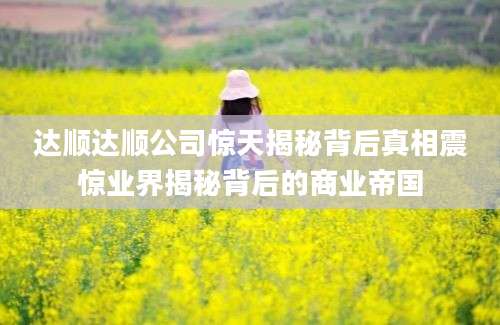 达顺达顺公司惊天揭秘背后真相震惊业界揭秘背后的商业帝国