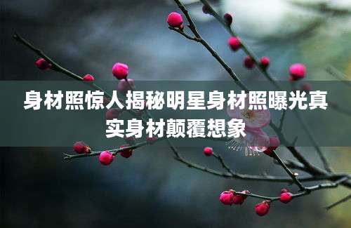 身材照惊人揭秘明星身材照曝光真实身材颠覆想象