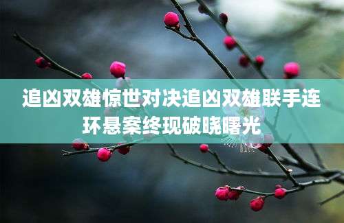 追凶双雄惊世对决追凶双雄联手连环悬案终现破晓曙光