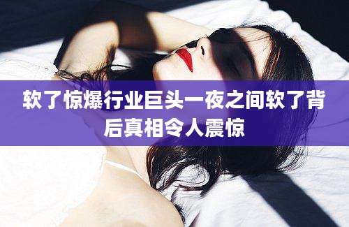 软了惊爆行业巨头一夜之间软了背后真相令人震惊