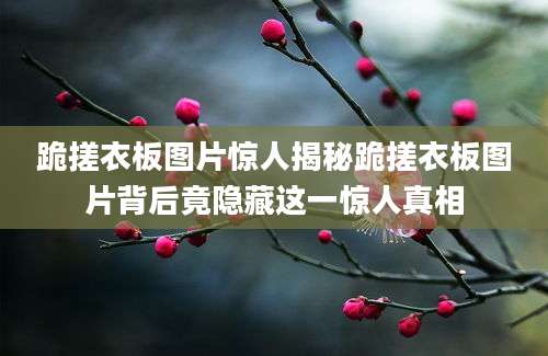 跪搓衣板图片惊人揭秘跪搓衣板图片背后竟隐藏这一惊人真相