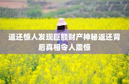 返还惊人发现巨额财产神秘返还背后真相令人震惊
