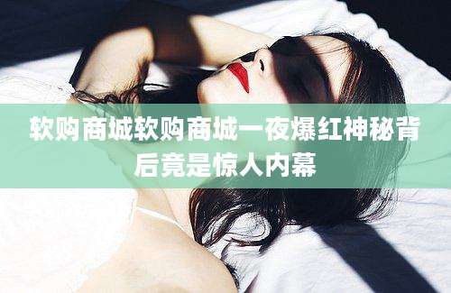 软购商城软购商城一夜爆红神秘背后竟是惊人内幕