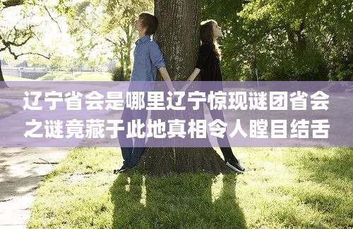 辽宁省会是哪里辽宁惊现谜团省会之谜竟藏于此地真相令人瞠目结舌