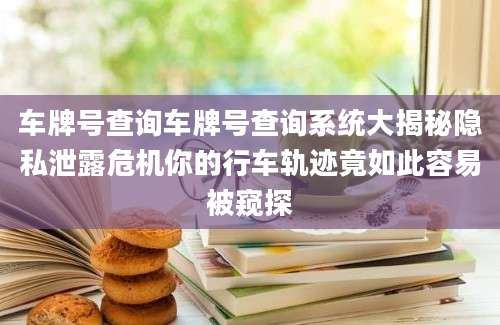 车牌号查询车牌号查询系统大揭秘隐私泄露危机你的行车轨迹竟如此容易被窥探