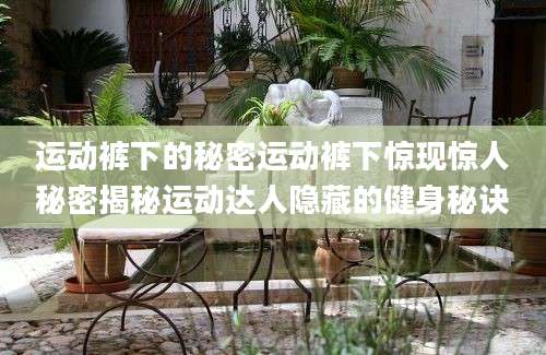 运动裤下的秘密运动裤下惊现惊人秘密揭秘运动达人隐藏的健身秘诀