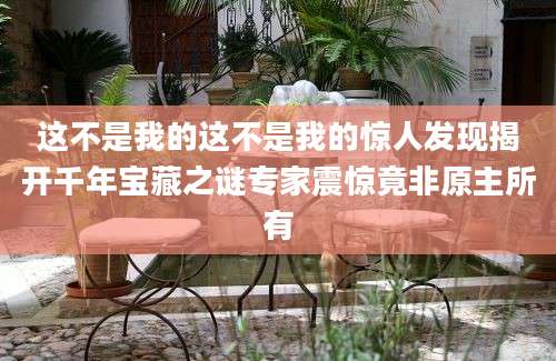 这不是我的这不是我的惊人发现揭开千年宝藏之谜专家震惊竟非原主所有