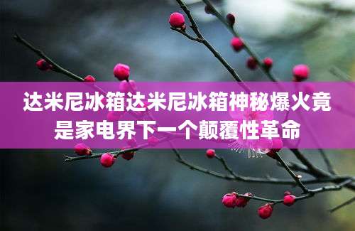 达米尼冰箱达米尼冰箱神秘爆火竟是家电界下一个颠覆性革命