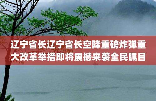 辽宁省长辽宁省长空降重磅炸弹重大改革举措即将震撼来袭全民瞩目
