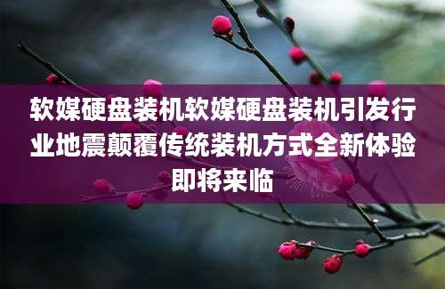 软媒硬盘装机软媒硬盘装机引发行业地震颠覆传统装机方式全新体验即将来临