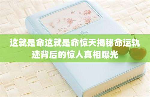 这就是命这就是命惊天揭秘命运轨迹背后的惊人真相曝光