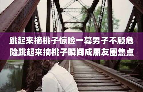 跳起来摘桃子惊险一幕男子不顾危险跳起来摘桃子瞬间成朋友圈焦点