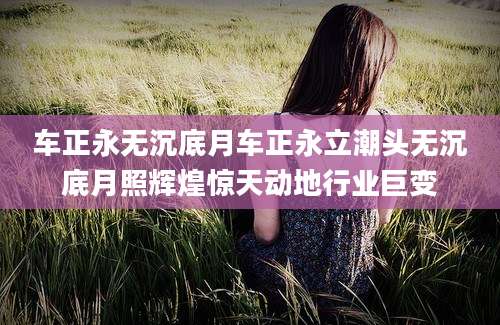 车正永无沉底月车正永立潮头无沉底月照辉煌惊天动地行业巨变