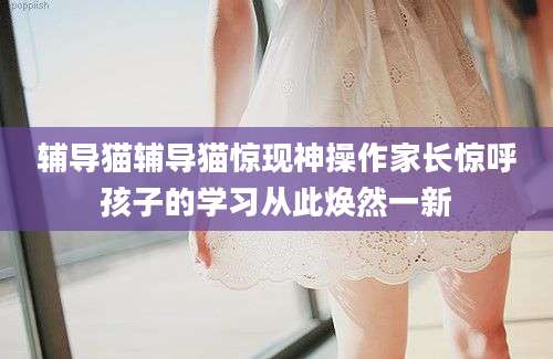辅导猫辅导猫惊现神操作家长惊呼孩子的学习从此焕然一新