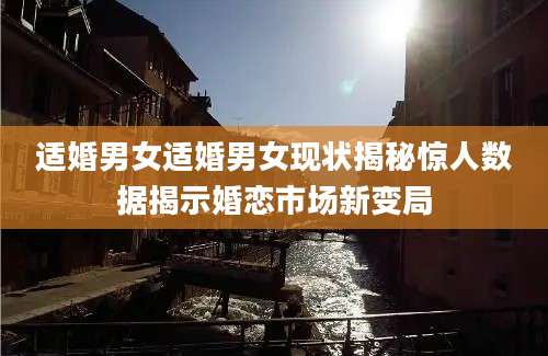 适婚男女适婚男女现状揭秘惊人数据揭示婚恋市场新变局
