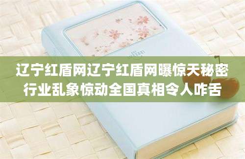 辽宁红盾网辽宁红盾网曝惊天秘密行业乱象惊动全国真相令人咋舌