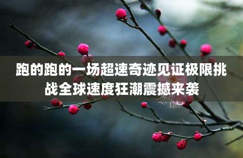 跑的跑的一场超速奇迹见证极限挑战全球速度狂潮震撼来袭