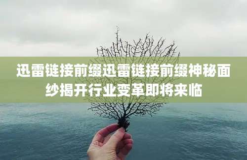 迅雷链接前缀迅雷链接前缀神秘面纱揭开行业变革即将来临