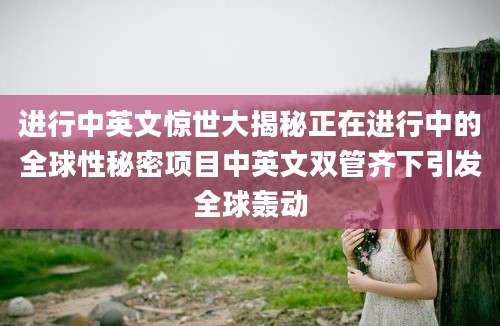 进行中英文惊世大揭秘正在进行中的全球性秘密项目中英文双管齐下引发全球轰动