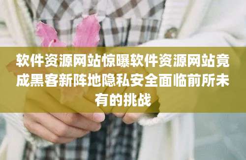 软件资源网站惊曝软件资源网站竟成黑客新阵地隐私安全面临前所未有的挑战