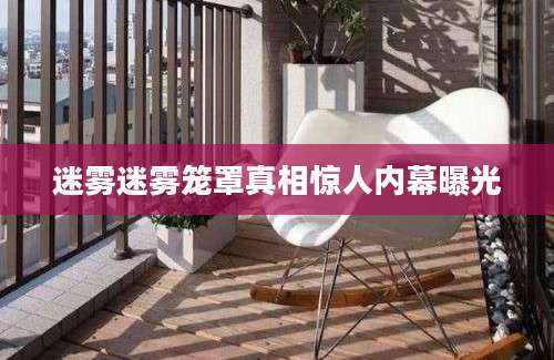 迷雾迷雾笼罩真相惊人内幕曝光