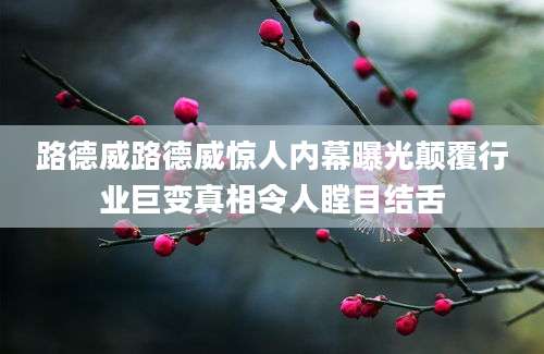 路德威路德威惊人内幕曝光颠覆行业巨变真相令人瞠目结舌
