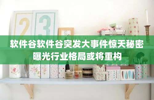 软件谷软件谷突发大事件惊天秘密曝光行业格局或将重构