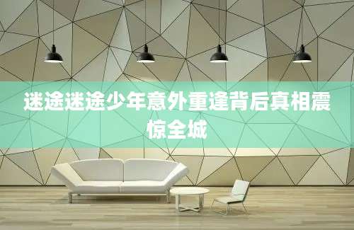 迷途迷途少年意外重逢背后真相震惊全城