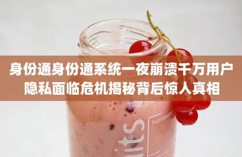 身份通身份通系统一夜崩溃千万用户隐私面临危机揭秘背后惊人真相