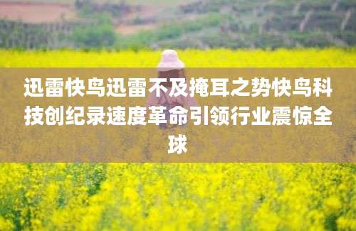 迅雷快鸟迅雷不及掩耳之势快鸟科技创纪录速度革命引领行业震惊全球