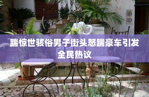 踹惊世骇俗男子街头怒踹豪车引发全民热议