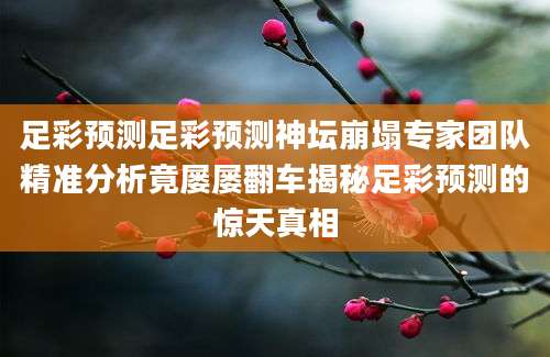足彩预测足彩预测神坛崩塌专家团队精准分析竟屡屡翻车揭秘足彩预测的惊天真相