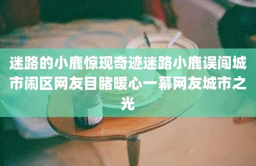 迷路的小鹿惊现奇迹迷路小鹿误闯城市闹区网友目睹暖心一幕网友城市之光