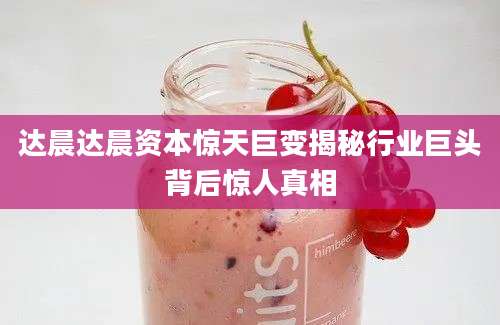 达晨达晨资本惊天巨变揭秘行业巨头背后惊人真相