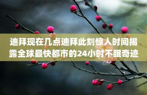 迪拜现在几点迪拜此刻惊人时间揭露全球最快都市的24小时不眠奇迹