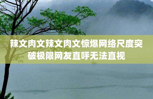 辣文肉文辣文肉文惊爆网络尺度突破极限网友直呼无法直视