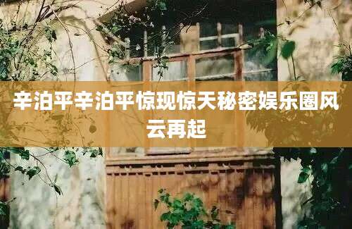 辛泊平辛泊平惊现惊天秘密娱乐圈风云再起