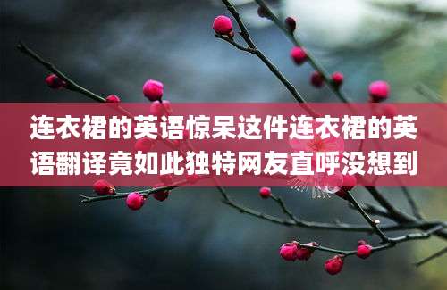 连衣裙的英语惊呆这件连衣裙的英语翻译竟如此独特网友直呼没想到