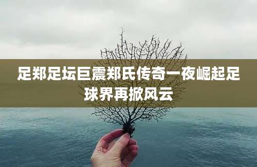 足郑足坛巨震郑氏传奇一夜崛起足球界再掀风云