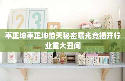辜正坤辜正坤惊天秘密曝光竟揭开行业重大丑闻